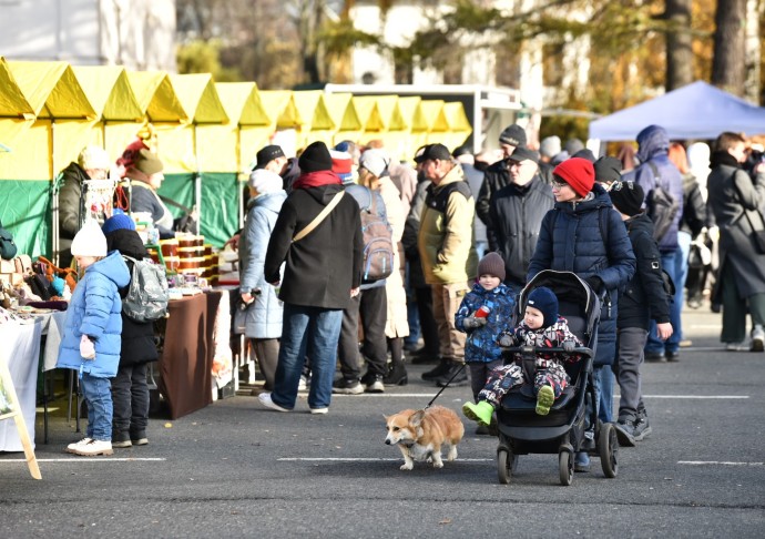 Новые меры соцподдержки планируют ввести в Ярославской области