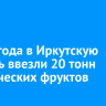 За полгода в Иркутскую область ввезли 20 тонн экзотических фруктов