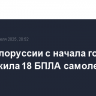ПВО Белоруссии с начала года уничтожила 18 БПЛА самолетного типа