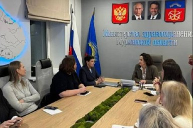 Амурчане поделились опытом работы первичного звена здравоохранения с коллегами из Мурманской области