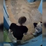 «Подъездного бойца» из Октябрьского отправили в колонию за избиение пенсионерки