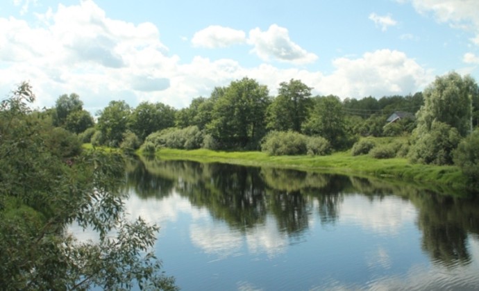 65 км берегов в Новгородской области очистили волонтеры акции «Вода России»