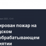 Ликвидирован пожар на вологодском деревообрабатывающем предприятии