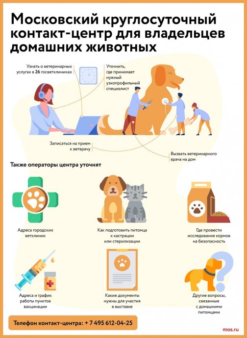 Меконгский бобтейл и шантильи-тиффани: какие породы кошек живут у москвичей