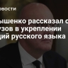 Чернышенко рассказал о роли педвузов в укреплении позиций русского языка