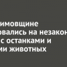 В Максимовщине пожаловались на незаконную свалку с останками и шкурами животных