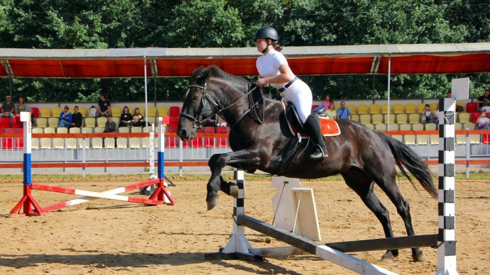 В Туле разыграли Кубок Центрального парка по конкуру В Туле разыграли Кубок Центрального парка по конкуру