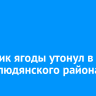 Сборщик ягоды утонул в реке Слюдянского района