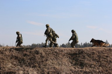 Новобранцев ВСУ бросили в бой под видом учебного занятия