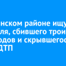 В Зиминском районе ищут водителя, сбившего троих пешеходов и скрывшегося с места ДТП
