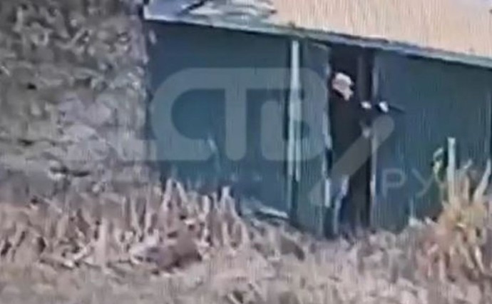 В Стародубском мужчина расстрелял двухмесячных щенков В Стародубском мужчина расстрелял двухмесячных щенков