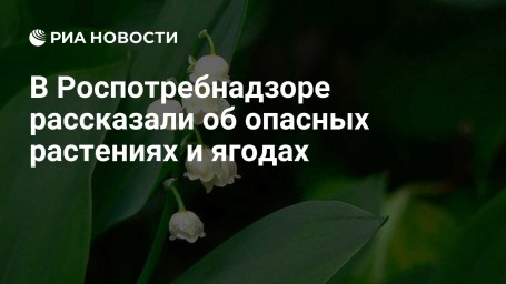 В Роспотребнадзоре рассказали об опасных растениях и ягодах