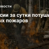 В России за сутки потушили  28 лесных пожаров