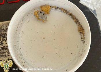В Приамурье на участке геологоразведки обнаружили нелегально хранящееся золото