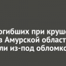 Тела погибших при крушении Ан-24 в Амурской области извлекли из-под обломков