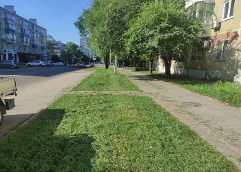 В Благовещенске покос травы в выходные провели на семи улицах
