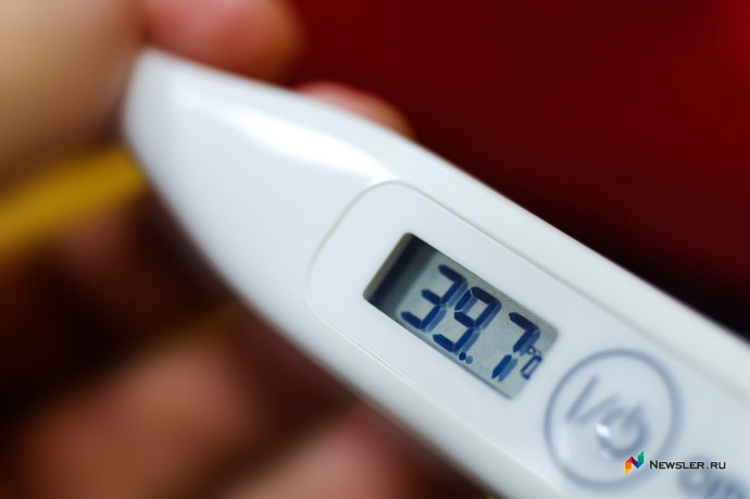 В Госдуме предложили сотрудникам работать дома из-за гриппа В Госдуме предложили сотрудникам работать дома из-за гриппа