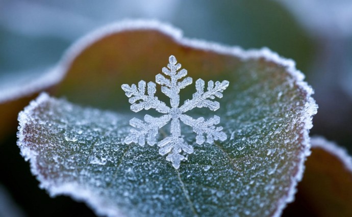 Похолодание и осадки: прогноз погоды для Сахалина и Курил на 1 ноября