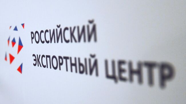 РЭЦ назвал условия стимулирования роста российских инвестиций в Африке