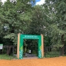 В Туле нашли способ, как сделать Рогожинский парк свободным от машин