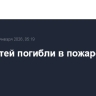 Трое детей погибли в пожаре в Якутии