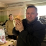 Вороны «склевали» городской бюджет
