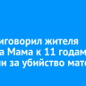 Суд приговорил жителя поселка Мама к 11 годам колонии за убийство матери