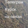 В Курской области дно реки Сейм усыпано мертвыми раками и рыбами