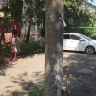 Народный фронт занялся проблемой незаконного захвата парковочных мест в Саранске