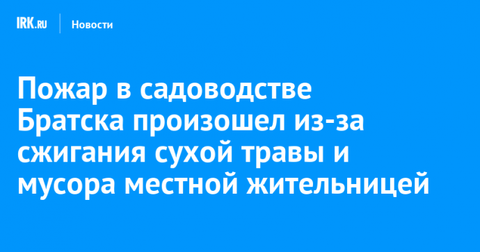 Пожар в садоводстве Братска произошел из-за сжигания сухой травы и мусора местной жительницей