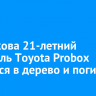 В Маркова 21-летний водитель Toyota Probox врезался в дерево и погиб