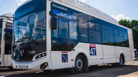 В Ленобласти запустят новые автобусные маршруты