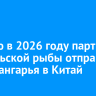 Первую в 2026 году партию байкальской рыбы отправили из Приангарья в Китай