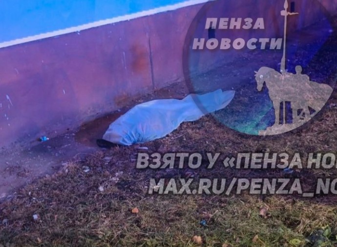 На проспекте Победы в Пензе при падении с 5 этажа погибла женщина На проспекте Победы в Пензе при падении с 5 этажа погибла женщина