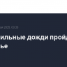 Очень сильные дожди пройдут в Приморье