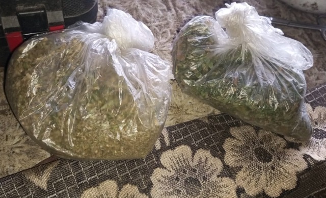 У жителя Ковылкино транспортная полиция изъяла два пакета с марихуаной