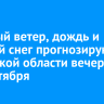 Сильный ветер, дождь и мокрый снег прогнозируют в Иркутской области вечером 29 сентября