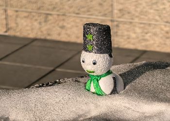 Благовещенцев умилил крошечный снеговик у здания амурского правительства Благовещенцев умилил крошечный снеговик у здания амурского правительства