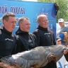 В Башкирии рыбак поймал сома весом 50 килограммов