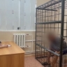 В Челябинской области установлены обстоятельства убийства мужчины, совершенного более 22 лет назад