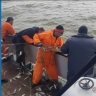 Есть ли селедка в Каспийском море 