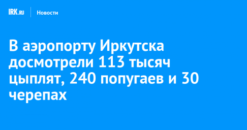 В аэропорту Иркутска досмотрели 113 тысяч цыплят, 240 попугаев и 30 черепах