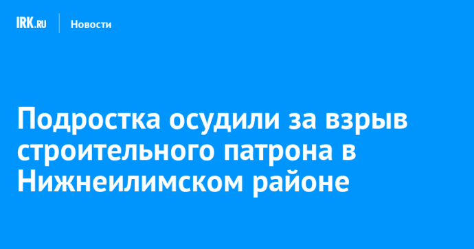 Подростка осудили за взрыв строительного патрона в Нижнеилимском районе