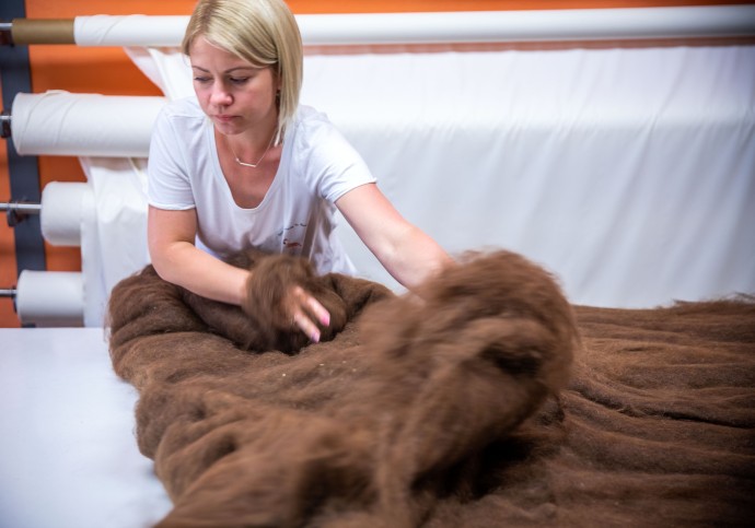 В СФ предложили разработать единые стандарты для продукции из шерсти