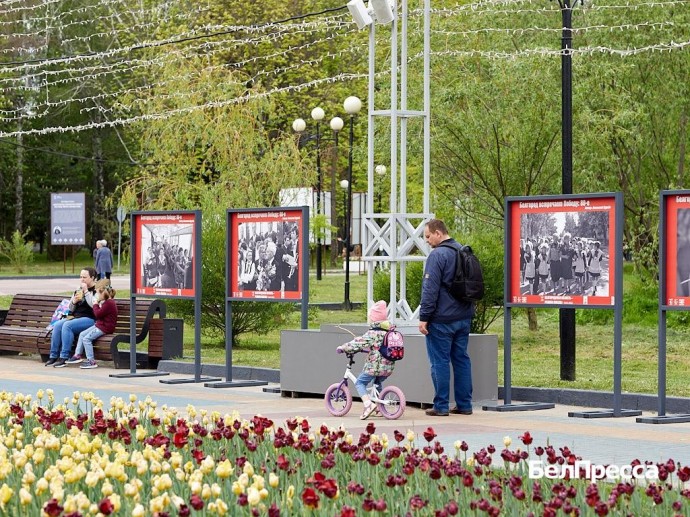 Белгородская область вошла в топ-20 регионов России по благосостоянию семей