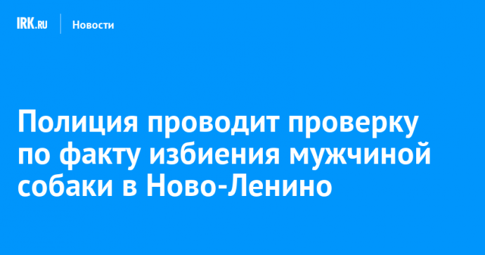 Полиция проводит проверку по факту избиения мужчиной собаки в Ново-Ленино