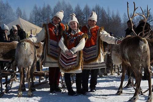 На развитие оленеводства в Приамурье выделят 12,5 миллиона