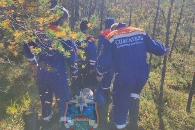 Спасатели из Тосно нашли мужчину, больше суток блуждавшего по лесу