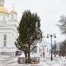 Для установки ели на Соборной площади в Пензе из бюджета выделят 130 тысяч рублей