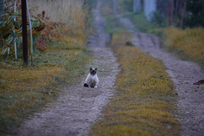 Метеорологи рассказали о средней температуре воздуха в ноябре в Пермском крае Метеорологи рассказали о средней температуре воздуха в ноябре в Пермском крае